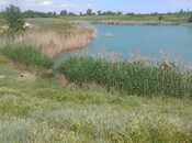 Продаётся  участок 998 сот, Хачмазский р., photo 8 from 8