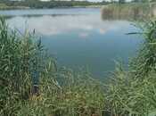 Продаётся  участок 998 сот, Хачмазский р., photo 5 from 8