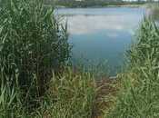 Продаётся  участок 998 сот, Хачмазский р., photo 6 from 8