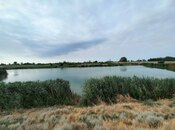 Объявление №5655746 - Хачмаз, Хачмаз, 998 сот