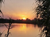 Продаётся  участок 998 сот, Хачмазский р., photo 4 from 8