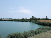 Продаётся  участок 998 сот, Хачмазский р., photo 3 from 8