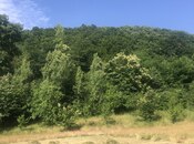 Продаётся  участок 21 сот, photo 1 from 6