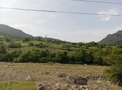 Продаётся  участок 139 сот, photo 4 from 5