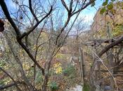 Продаётся  участок 3.5 сот, пос. Бадамдар, photo 5 from 5