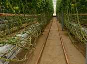 Продаётся  объект 400 м², пос. Гала, photo 2 from 8