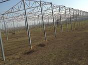 Satılır  torpaq 120 sot, Novxanı q., photo 5 from 7