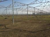 Satılır  torpaq 120 sot, Novxanı q., photo 1 from 7