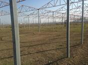 Satılır  torpaq 120 sot, Novxanı q., photo 3 from 7