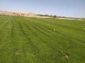 Satılır  torpaq 48 sot, Səngəçal q., photo 2 from 4