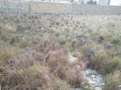 Продаётся  участок 2.2 сот, пос. Бадамдар, photo 2 from 5