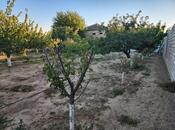 Продаётся  участок 17 сот, пос. Пиршаги, photo 5 from 8