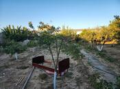 Продаётся  участок 17 сот, пос. Пиршаги, photo 6 from 8