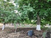 Продаётся  участок 17 сот, пос. Пиршаги, photo 8 from 8