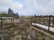 Продаётся  участок 51 сот, пос. Шувеляны, photo 6 from 8