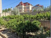 6 otaqlı həyət evi/bağ evi - Badamdar q. - 500 m²
