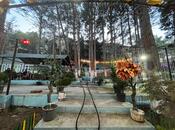 Продаётся  объект 1 080 м², photo 3 from 8