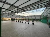 Продаётся  объект 1 080 м², photo 7 from 8