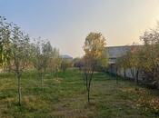 Elan №5673436 - Qax, Qax, 11 sot