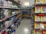 Satılır  obyekt 244 m², photo 3 from 8