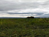 Объявление №5674616 - Шеки, Шеки, 730 сот