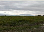 Продаётся  участок 730 сот, photo 3 from 6