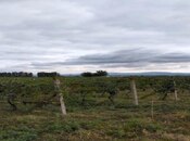 Продаётся  участок 710 сот, photo 5 from 6