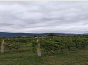 Продаётся  участок 710 сот, photo 4 from 6