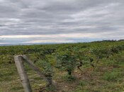 Продаётся  участок 710 сот, photo 6 from 6