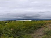 Продаётся  участок 2 980 сот, photo 6 from 6