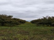 Продаётся  участок 2 980 сот, photo 2 from 6