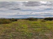 Продаётся  участок 2 980 сот, photo 5 from 6