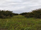 Продаётся  участок 2 980 сот, photo 3 from 6