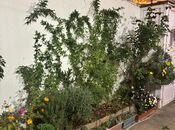 Продаётся 3-комн. дом/дача 100 м², Наримановский  р., photo 2 from 8