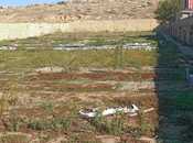 Продаётся  участок 14 сот, пос. Кюрдаханы, photo 4 from 4