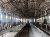 Продаётся  объект 3 000 м², пос. Перекишкюль, photo 5 from 8