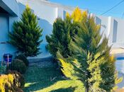 İcarəyə verilir 5 otaqlı həyət evi/bağ evi 360 m², Mərdəkan q., photo 3 from 8