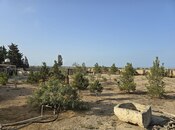 Продаётся 6-комн. дом/дача 220 м², пос. Зире, photo 7 from 8