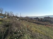 Satılır  torpaq 5.5 sot, photo 2 from 4