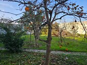 Продаётся 6-комн. дом/дача 500 м², м. Кара Караев, photo 2 from 8