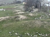 Продаётся  участок 15 сот, photo 3 from 6