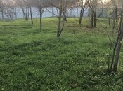 Torpaq - Qəbələ - 10 sot