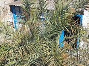 Satılır 2 otaqlı həyət evi/bağ evi 36 m², Əmircan q., photo 3 from 8