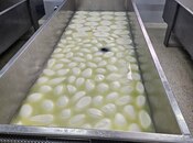 Продаётся  объект 700 м², Абшеронcкий  р., photo 7 from 8