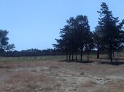 Satılır  torpaq 6 sot, Şimal DRES q., photo 2 from 3