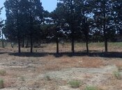 Satılır  torpaq 6 sot, Şimal DRES q., photo 3 from 3