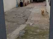 Satılır 3 otaqlı həyət evi/bağ evi 100 m², Azadlıq Prospekti m., photo 4 from 8