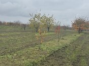 Satılır  torpaq 81 sot, photo 4 from 5