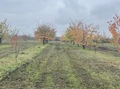 Satılır  torpaq 81 sot, photo 3 from 5