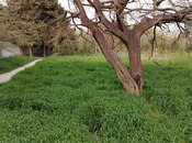 Elan №5692963 - Bakı, Nəsimi m., 1.7 sot